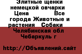 Элитные щенки немецкой овчарки › Цена ­ 30 000 - Все города Животные и растения » Собаки   . Челябинская обл.,Чебаркуль г.
